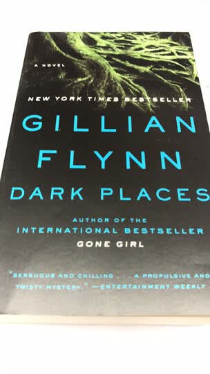 图书 进口原版  literature  dark place.