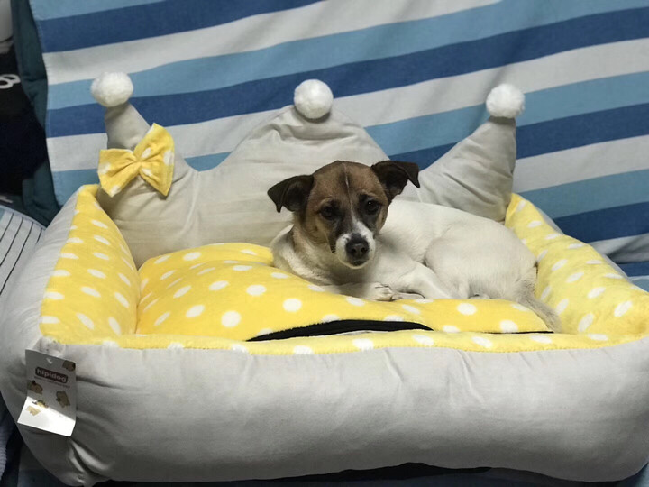 举报    |             分享