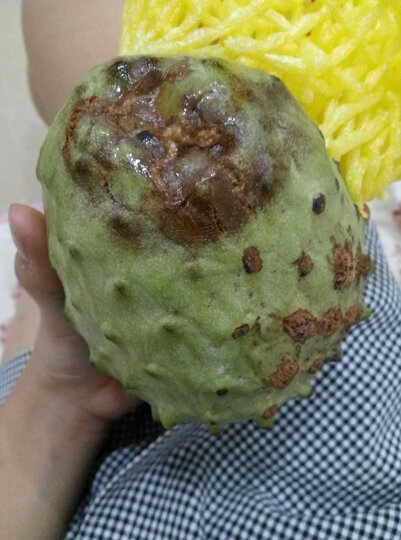 释迦果份量很足很新鲜,有个坏的联系客服马上退款解决了,非常不错的