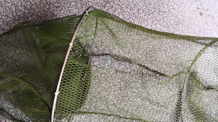 垂钓装备黑坑台钓专用渔护鱼网袋涂胶防挂速干鱼虾篓双圈海钓鱼网渔具