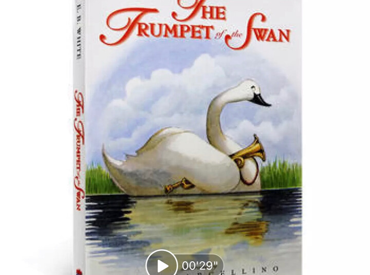 英文原版 the trumpet of the swan吹小号的天鹅e.b.