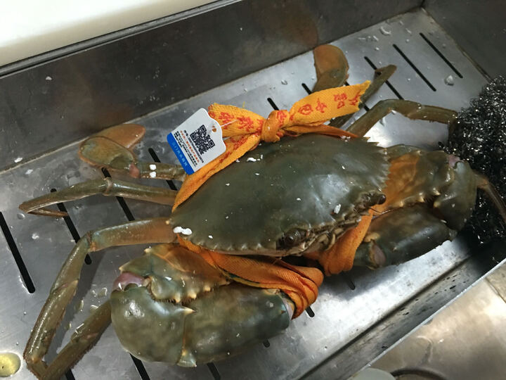 【活鲜】 蟹爱 鲜活三门青蟹肉蟹蝤蛑 约单只8两(公蟹)三只2.