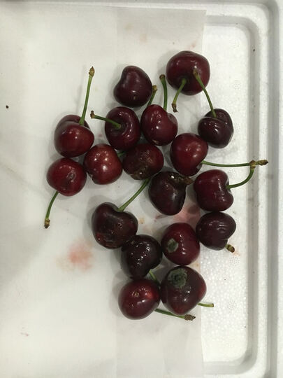 樱桃不够新鲜,运输途中冰袋都没放,整箱樱桃烂味!