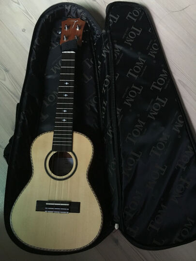 tom:"音质不错,做工也好,商家服务不错!" - 京东