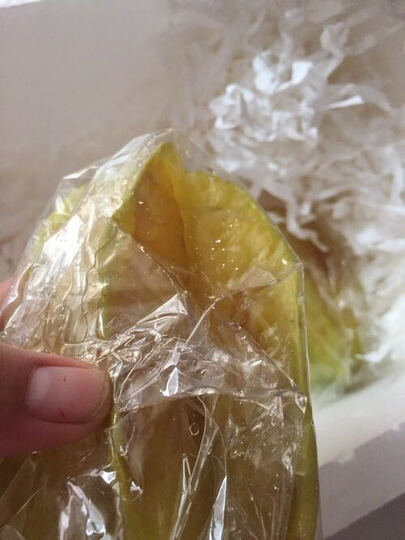 张***1 这家店铺真是差 大家以后都别买 到了杨桃说坏了给退钱 结果不