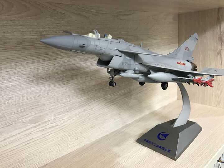 特尔博 1:48歼10b飞机模型仿真合金军事战斗机模型 晒单图