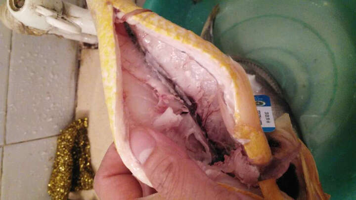 三都港 冷冻三去无公害黄花鱼 1kg 2条 袋装 海鲜水产 晒单图