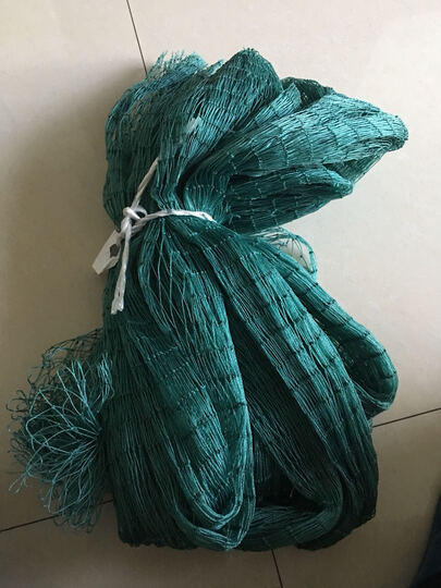 鸟网12股怎么样_鸟网12股多少钱_鸟网12股价格,图片评价排行榜 –