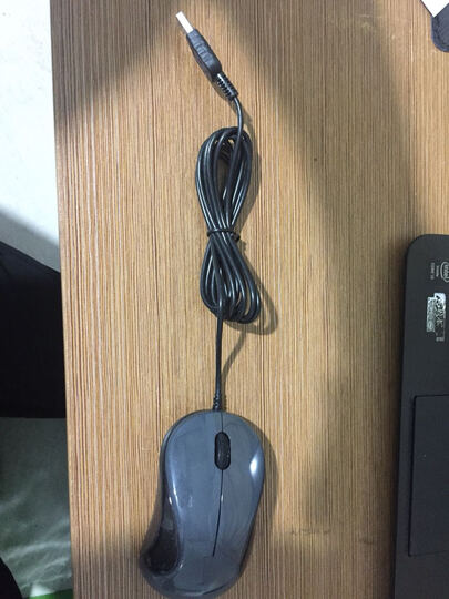 一款老牌子的鼠标,读.