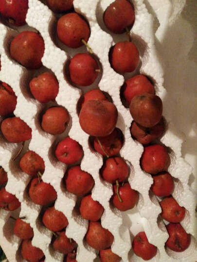 这次的山楂怎么不好,里面有坏的!