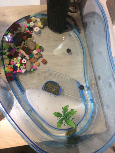 趣纷奇 乌龟缸塑料带晒台巴西龟养龟专用缸特大号乌龟裸缸水族箱超