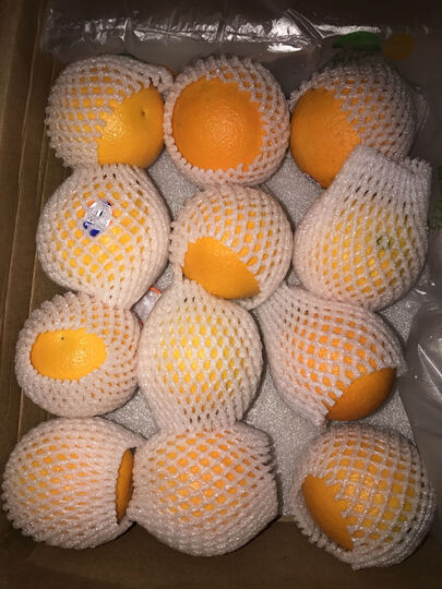 新奇士新奇士美国瓦伦西亚橙mini6个:"物流准时,外观看不错,但还没吃