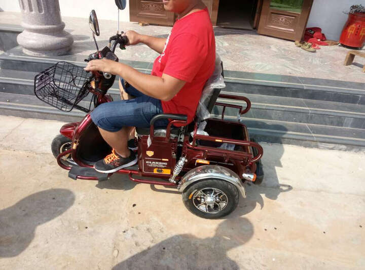 雅利奇 老年代步车 休闲三轮车 电动三轮车双人 载人载货 酒红色 48v