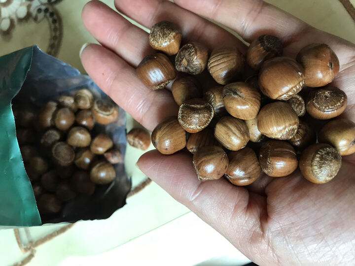御参坊(yushenfang) 榛子坚果炒货干果零食原味东北野生毛榛子小铁岭