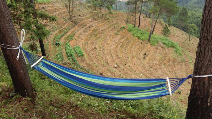 吊床怎么样_吊床多少钱_吊床价格,图片评价排行榜 – 京东