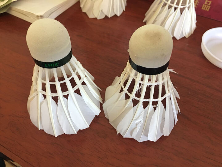 李宁(li ning) hc1100 单拍 4u 全碳素球拍 羽毛球拍