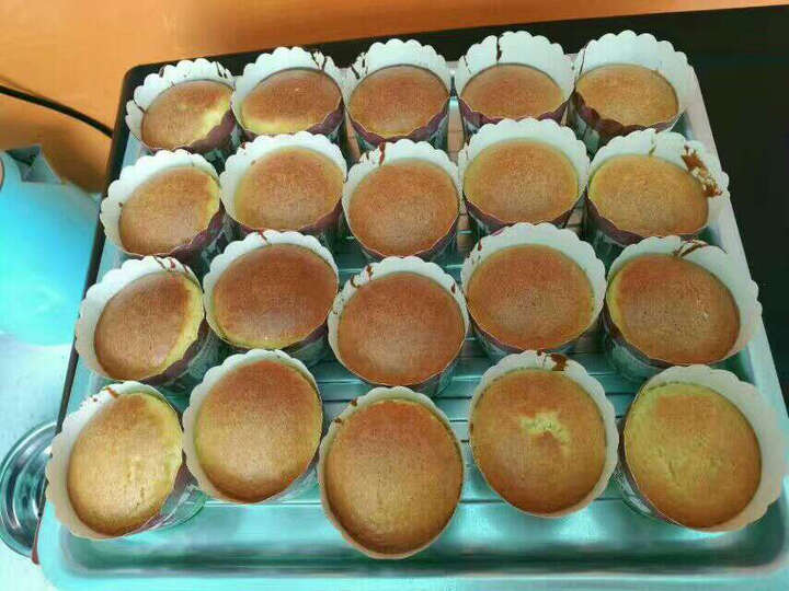 烧烤电烤箱热评榜