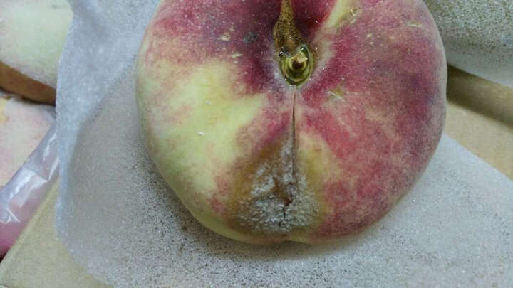 精选国产大蟠桃1kg 新鲜水果什么蟠桃,都是坏的,气死个人,别说是京东.