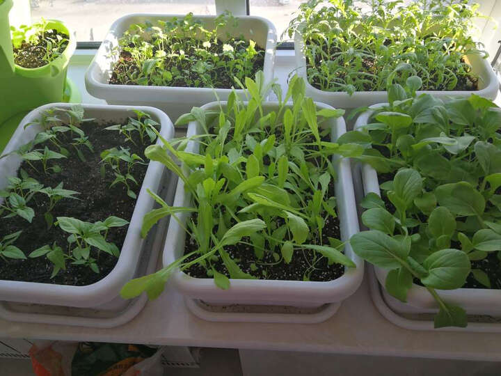 美乐棵 通用型营养土18l/袋 家庭园艺种植植基质土 办公室阳台桌面