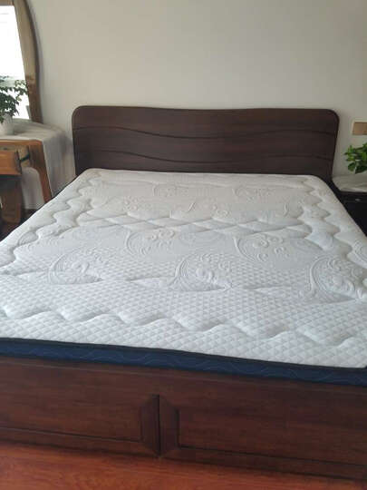 宜奥 天然乳胶床垫 椰棕薄垫 棕垫 白色款 8cm厚(乳胶 凝胶海绵 椰棕)