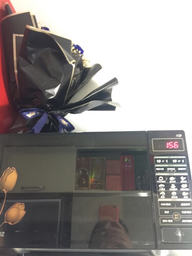 「必看分析」格兰仕bm1s2和r6kg2那个好？对比哪款性价比更高
