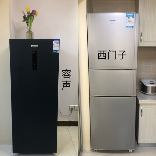 实情解密容声冰箱513WSK1FPG和513WD17FP区别哪款更好？谁是性价比之王