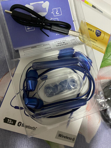 人气博主评价索尼c310和xb400哪个音质好？应该怎么样选择