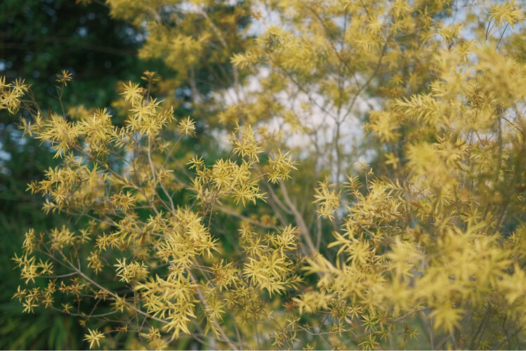 【求测评】富士npw126s和npw126电池？只选对的不选贵的