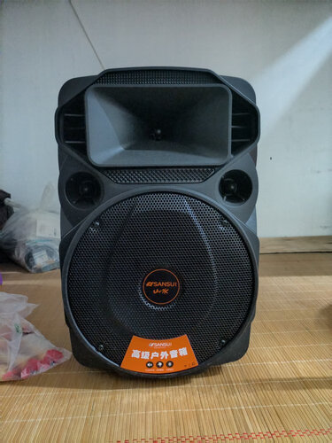 入手体验山水ss612寸拉杆音响和a12哪个更好用评测解读该怎么选