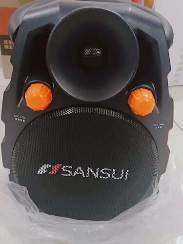老司机告诉你山水ss306音箱与h2对比？良心点评配置区别