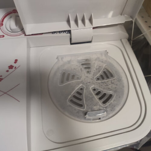 【已采纳】洗衣机 小天鹅TP100-S996 有多少人被坑了？真实的质量究竟怎么样呢？