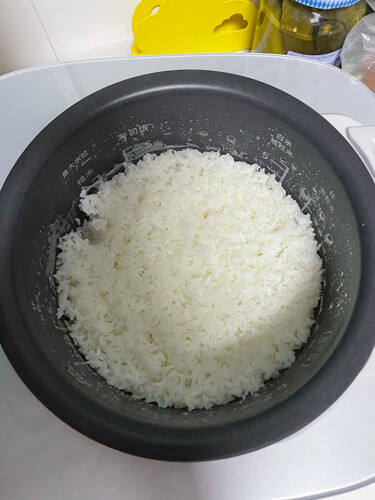 电饭煲用后实情讲解松下SR-AE101-K质量评测怎么样好不好用？