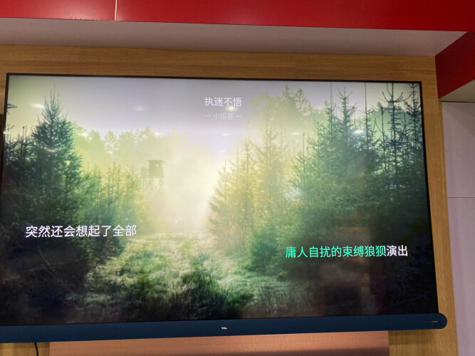 tcl65q8和p8哪个好