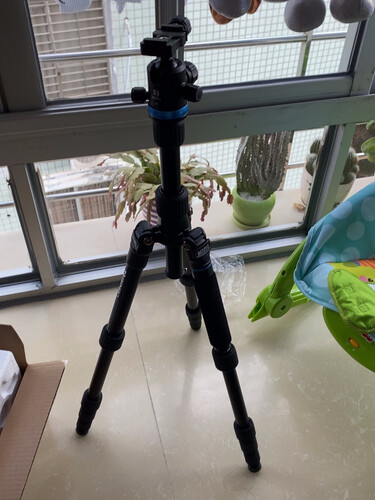 百诺it19和if19