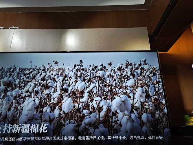 口碑实情分析创维55a8和a10电视机哪个好？良心点评配置区别