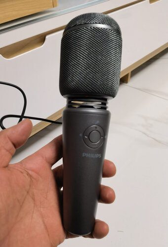 使用一个月后分享飞利浦3005u麦克风测评？功能真的不好吗