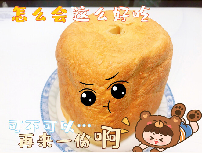 「必看分析」松下面包机wtp1001怎么样？质量真的差吗