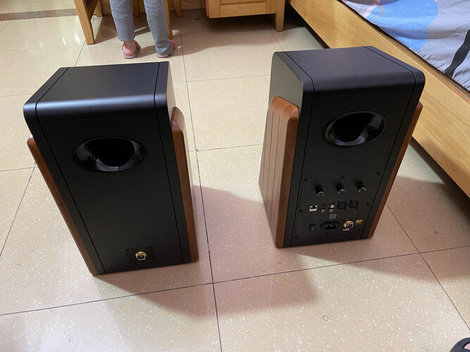 老司机分享惠威HiViM300MKII音箱/音响评测结果怎么样？不值得买吗？