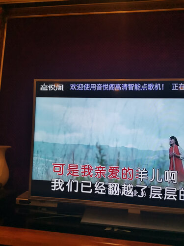 实际情况解读音悦阁点歌机是品牌机吗？质量到底怎么样好不好