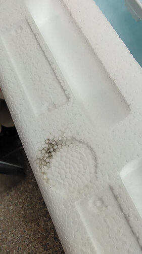 人气博主爆料海尔ebm33和xqbm33 哪款好用？评测教你怎么选