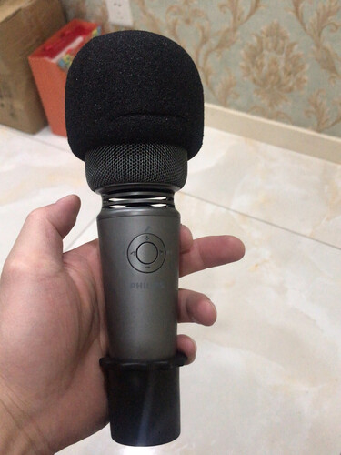 使用一个月后分享飞利浦3005u麦克风测评？功能真的不好吗