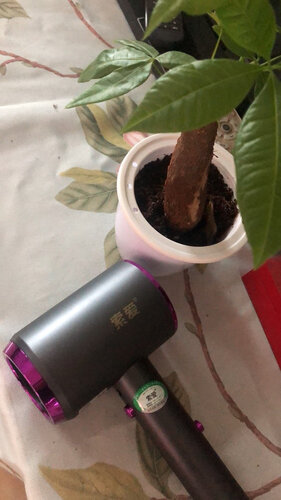 口碑实情分析索爱A1和A5的区别？这样选不盲目