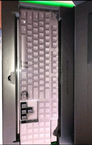 %title插图%num 「键盘解读」雷蛇RZ03-03190200-R3C1怎么样的质量,评测为什么这样?