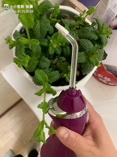 使用一个月后分享洁碧wp100和112区别哪个好？应该怎么样选择