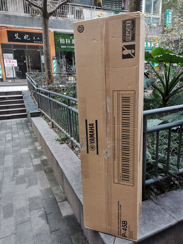 达人分享雅马哈p45和p48的区别有哪些？谁是性价比之王