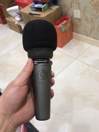 使用一个月后分享飞利浦3005u麦克风测评？功能真的不好吗