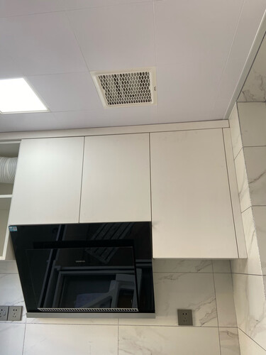 老司机分享西门子CXW-268-LS66AA850W油烟机怎么样的质量，评测为什么这样？