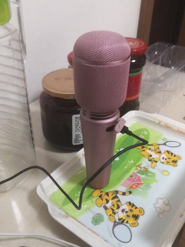 使用一个月后分享飞利浦3005u麦克风测评？功能真的不好吗