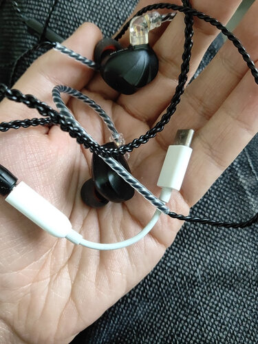 经验解析trnvx和兴戈em2耳机？只选对的不选贵的