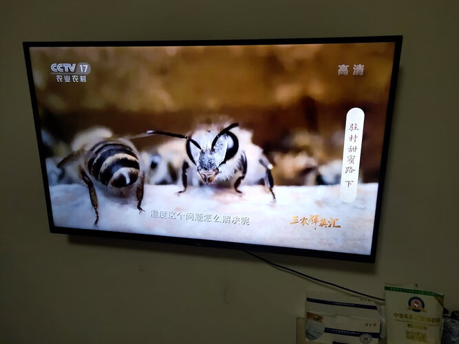 「入手体验」tcl43l8和海信43e3d哪个好？评测教你怎么选